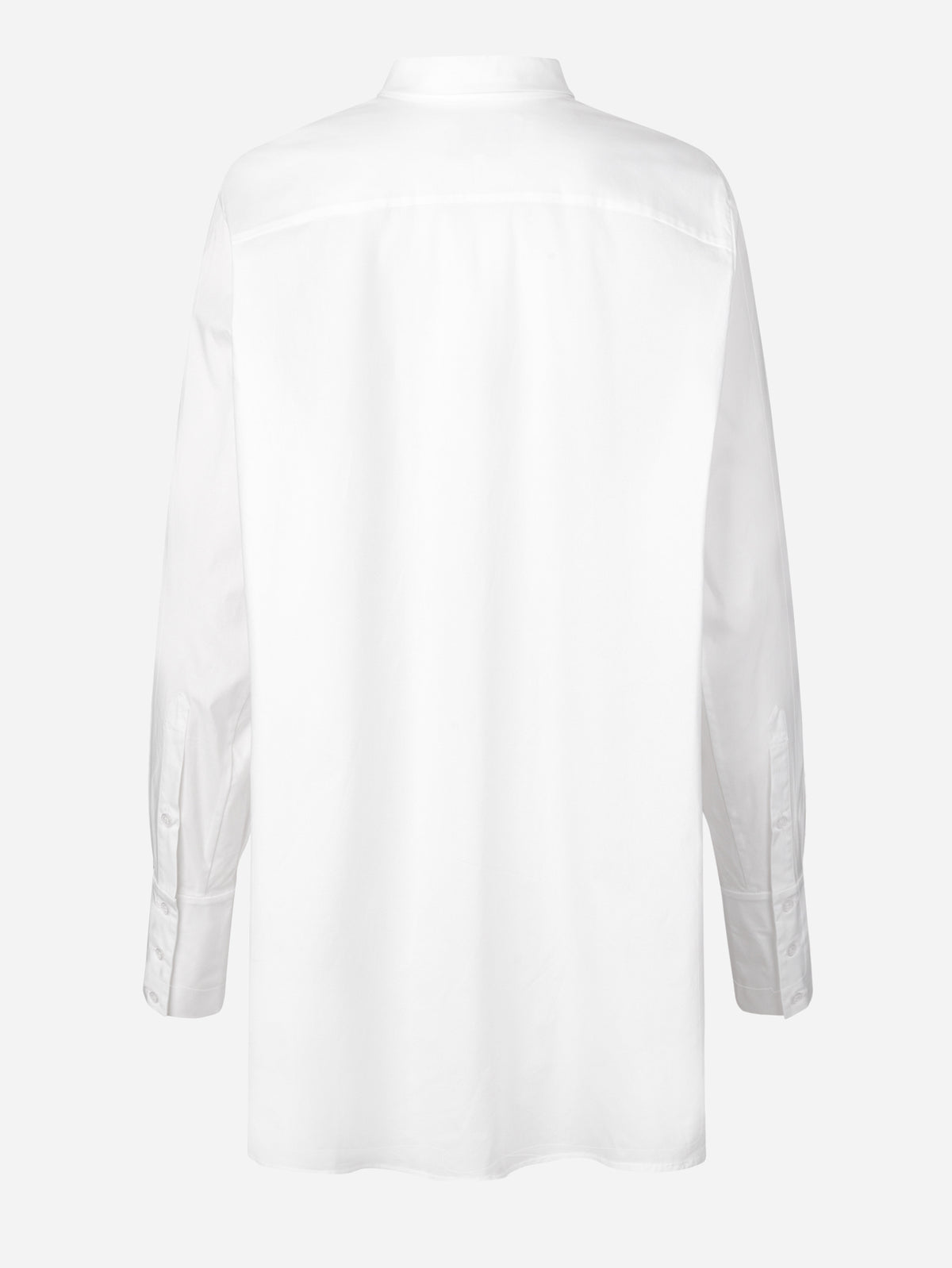 FALCON - WHITE